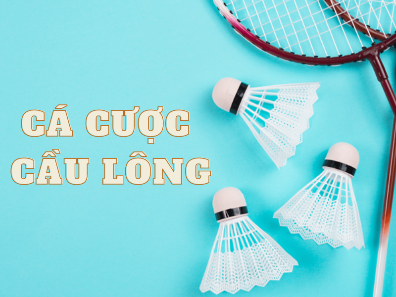 Cá độ cầu lông