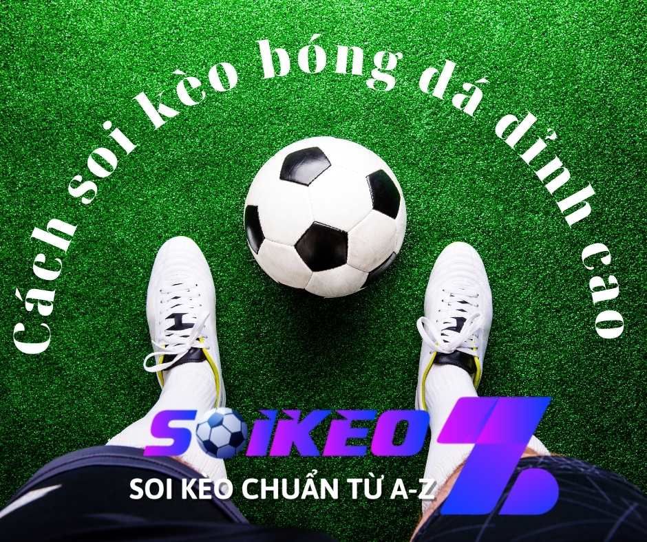 Soi kèo nhà cái khi muốn nằm trên 