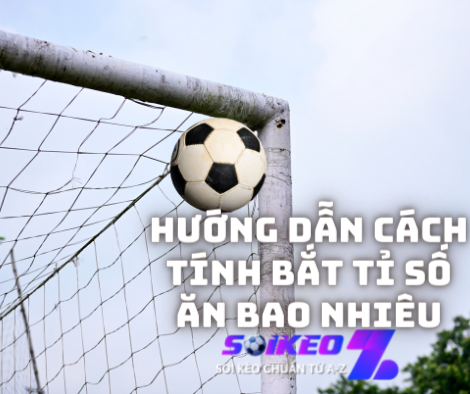 hướng dẫn cách bắt kèo bao ăn 