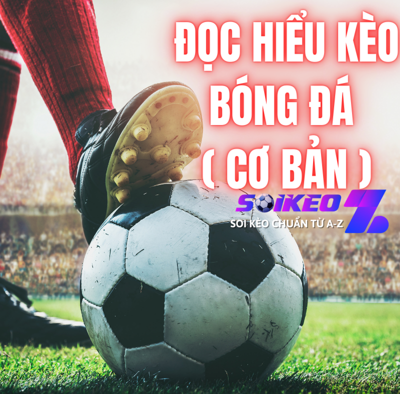 đọc hiểu kèo bóng đá 