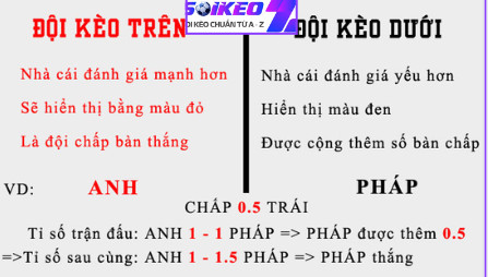 kèo trên dưới cực dễ hiểu 